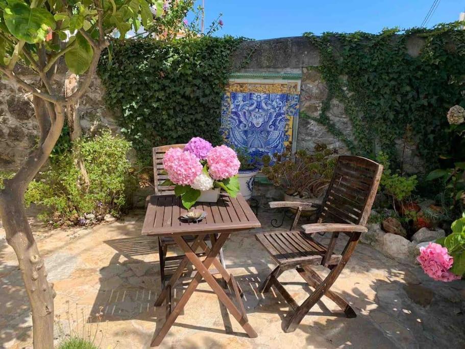 Apartamento Con Jardin Santander Zewnętrze zdjęcie